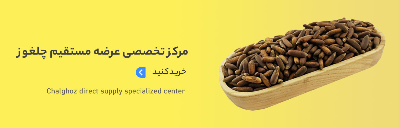 فروش عمده چلغوز