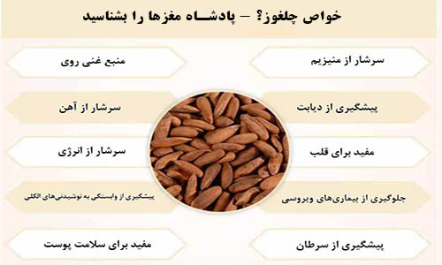 خواص چلغوز؟ - پادشاه مغزها را بشناسید