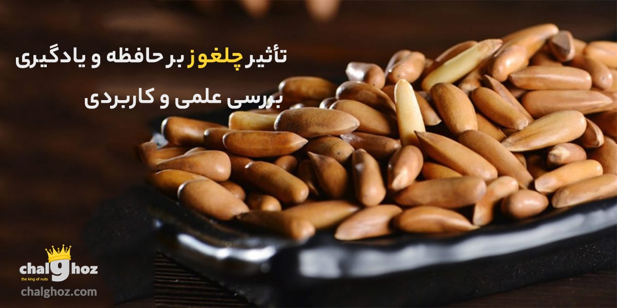 تاثیر چلغوز بر حافظه و یادگیری
