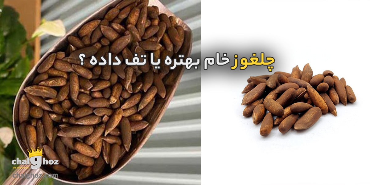 چلغوز خام بهتره یا تف‌ داده ؟ بررسی کامل خواص تفاوت‌ها و نکات تغذیه‌ای